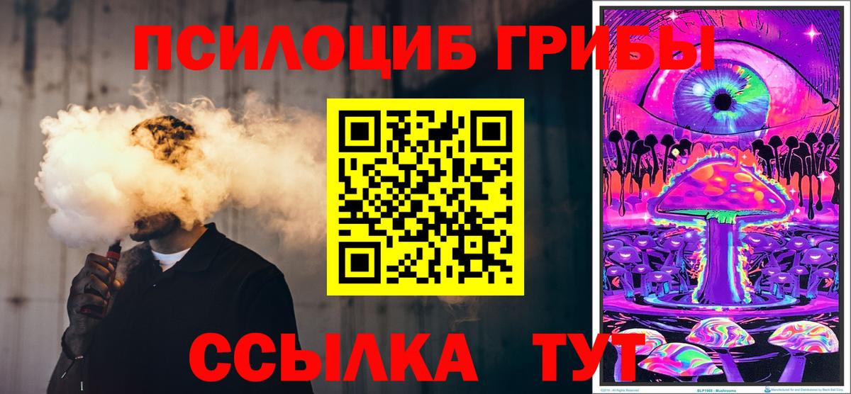 Благодарный  Галлюциногенные грибы Psilocybe  купить закладку  Псилоцибиновые грибы мицелий  Вход с VPN 